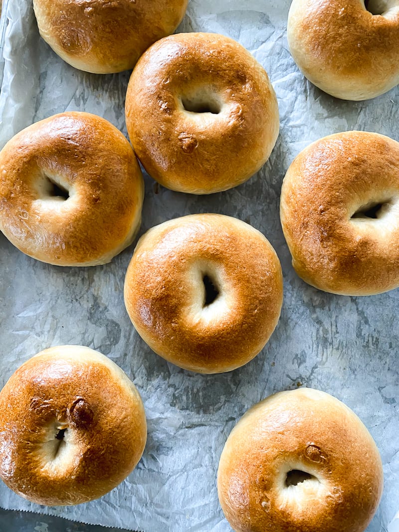 Plain Sourdough Bagel - 6PK